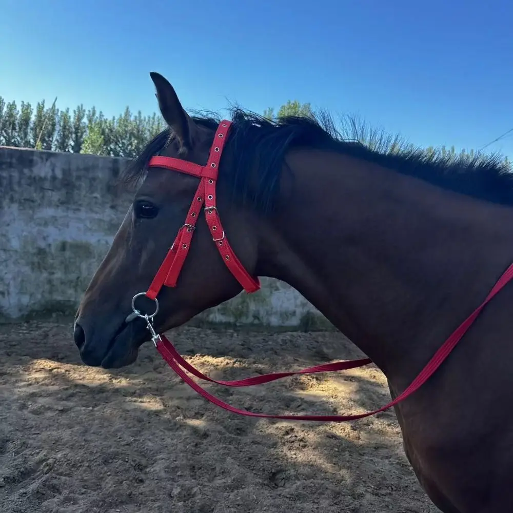 Halteres de caballo engrosados, correa ajustable, camilla de cuello de caballo de tres colores, arnés de caballo, cuerda de entrenamiento de brida de caballo cómoda - imagen 3