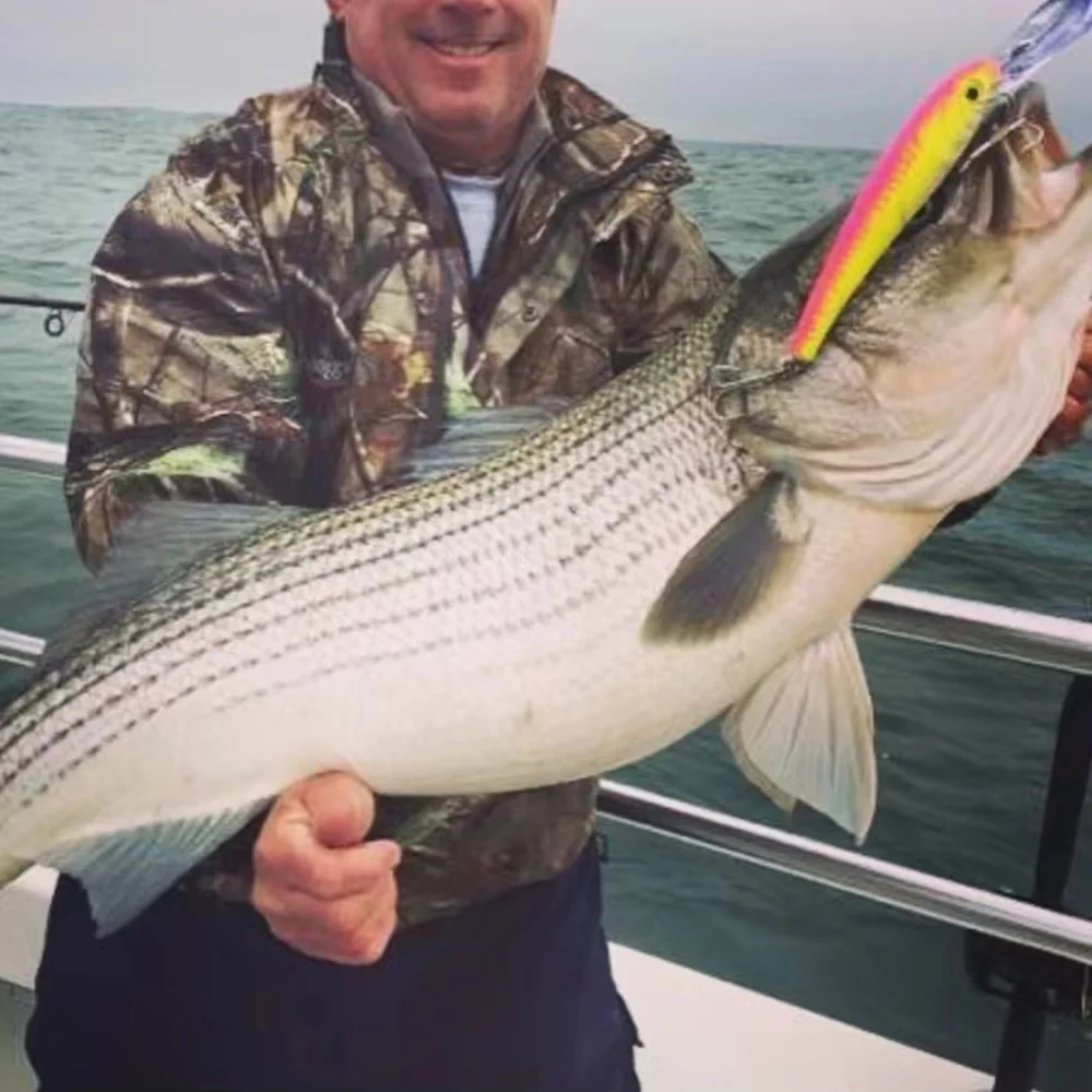 Bandit Deep Walleye Crankbaits 16,5 cm 29g Long Lip Minnow señuelo de Pesca Wobbler natación Pesca Artificial cebo duro - imagen 3