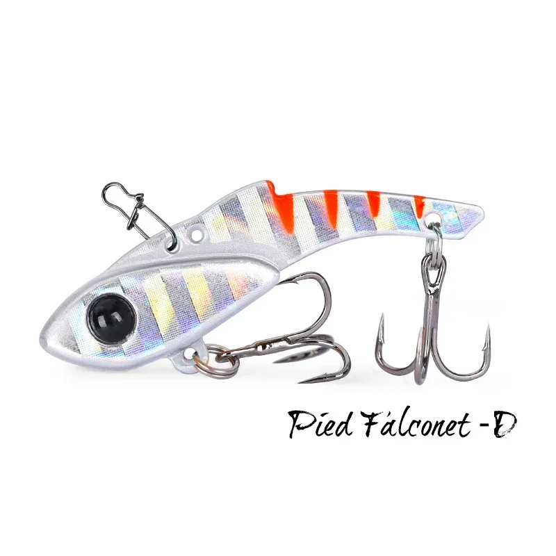 Pied Falconet-D
