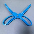 Blue 1pc