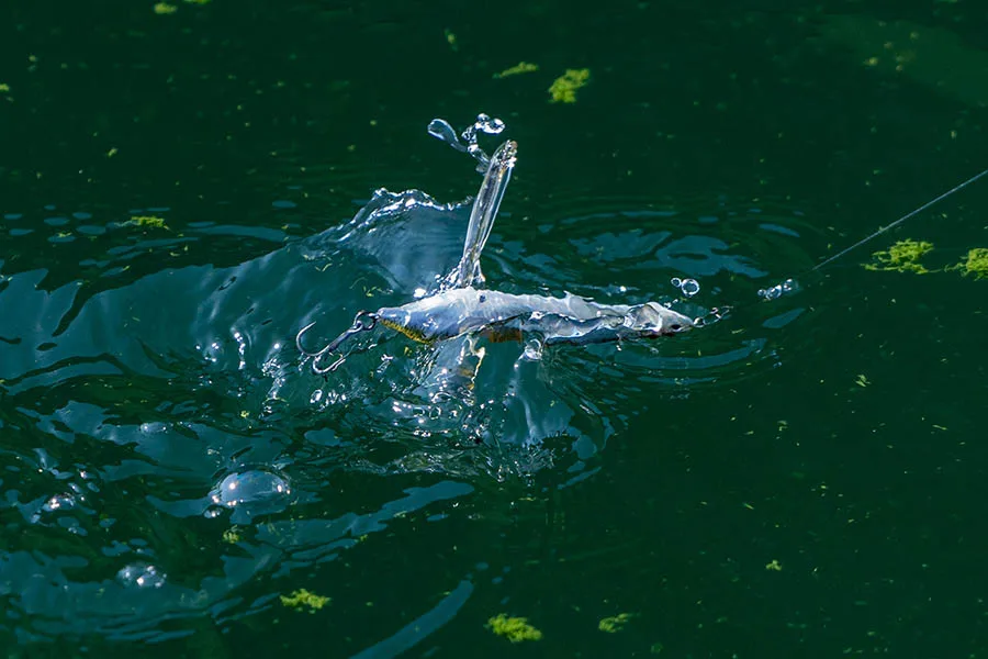 Japón IMAKATSU VAZELLE Surface Dragonfly 8cm 6,6g nuevo bajo - imagen 2