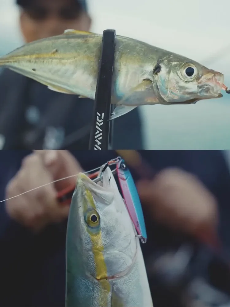 Daiwa Airity LT Carrete Spinning ultraligero para pesca de mar - imagen 2