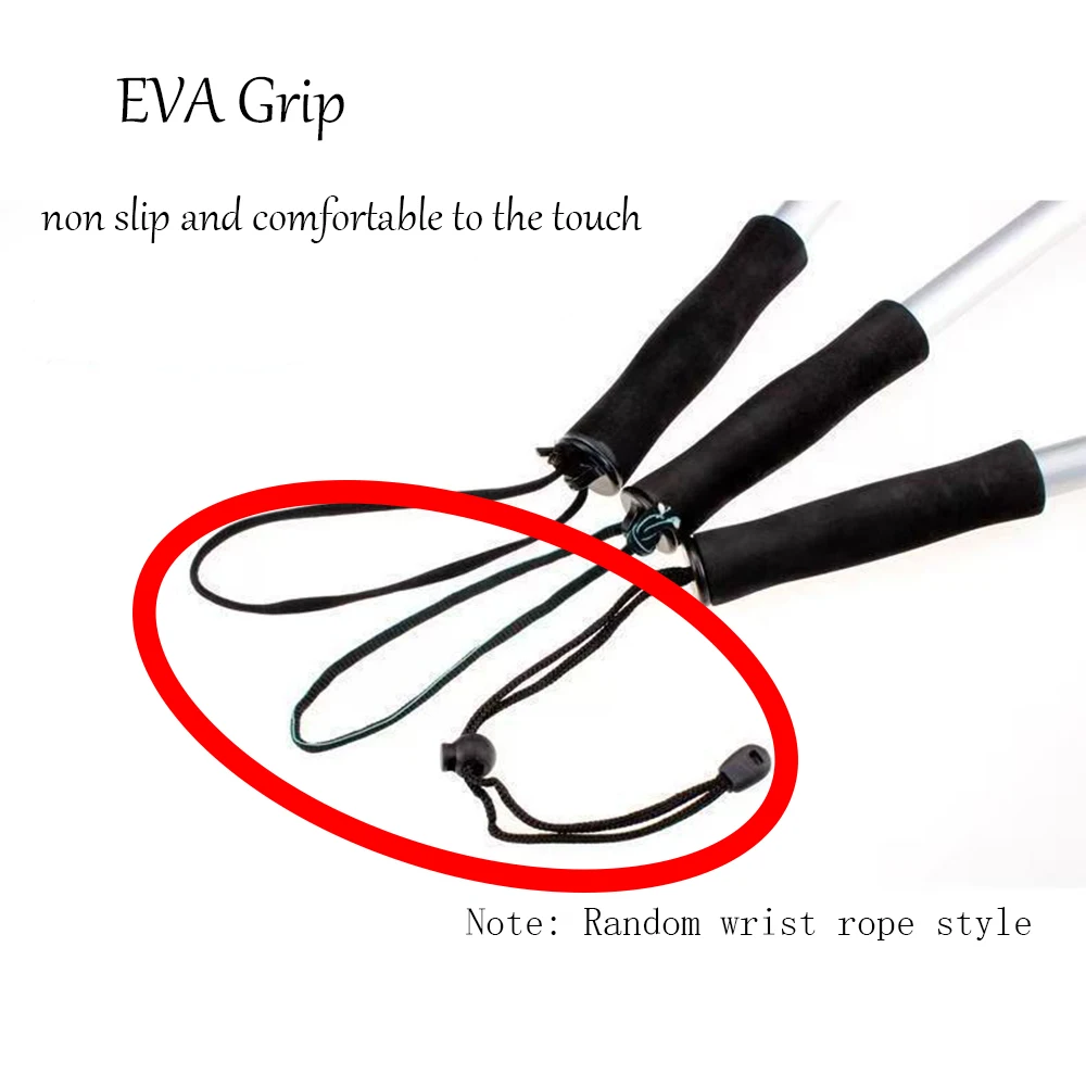 Lawaia-anzuelo de lanza de pesca, garfio de pescado retráctil escalable, barco de hielo inoxidable, aparejo de pesca - imagen 2