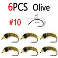 6pcs Olive Size 10