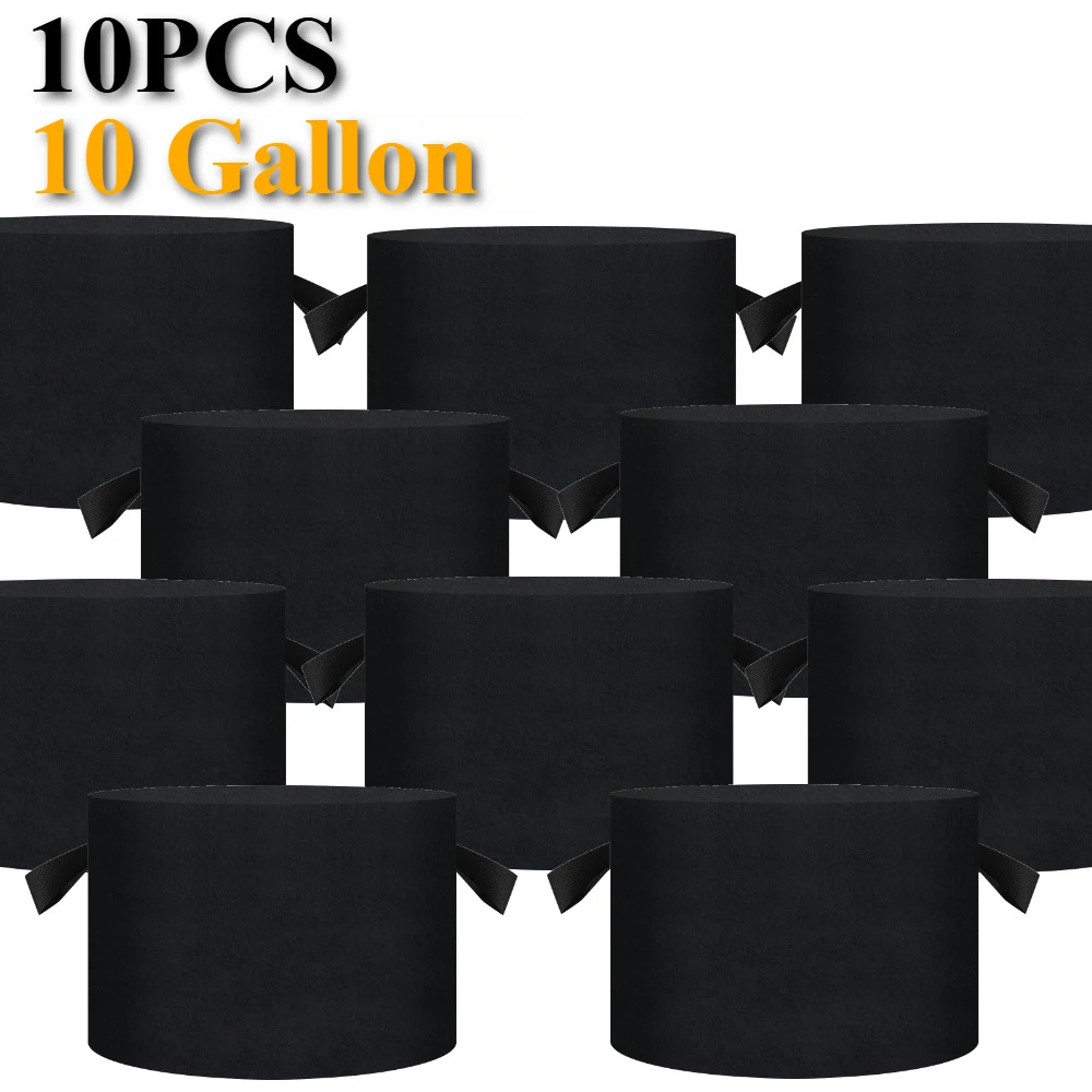 10Pcs 10 Gallon