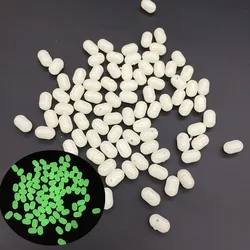 Space Bean Cuentas luminosas de pesca – 4 agujeros