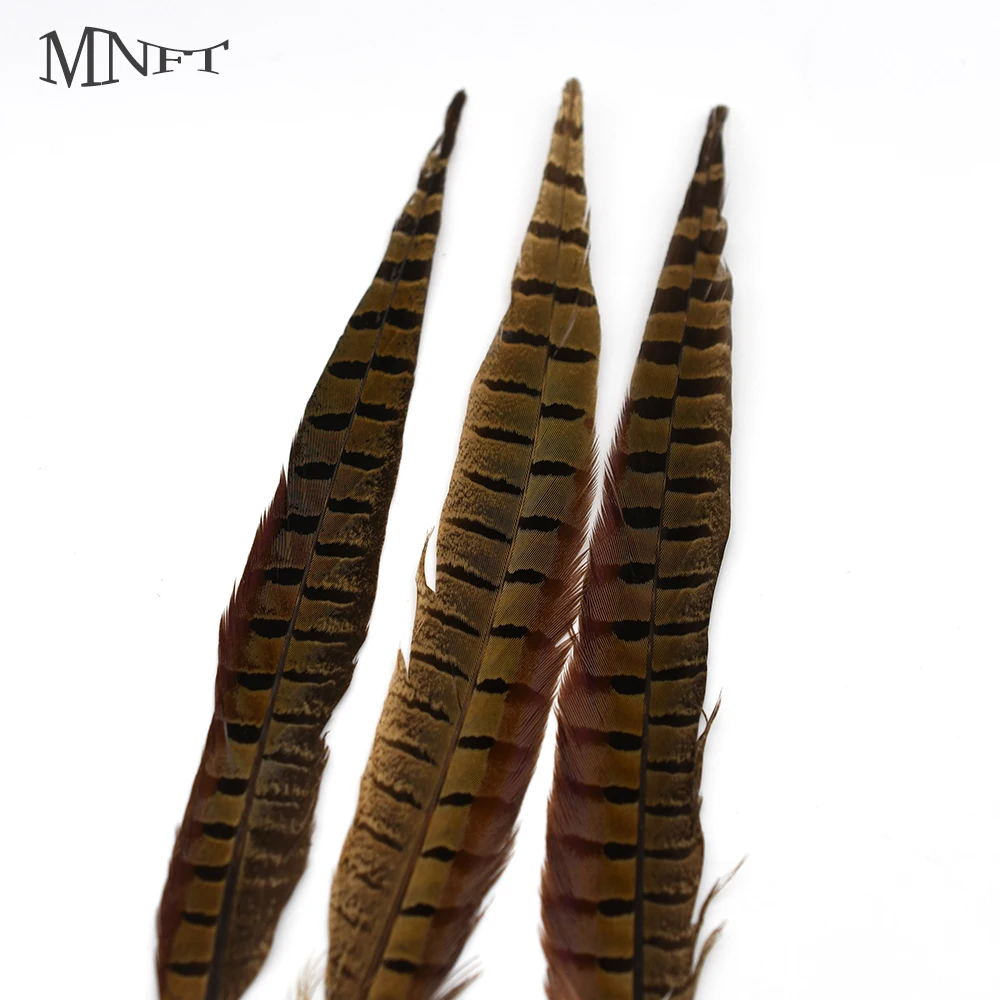 Plumas de faisán naturales MNFT para atado de moscas – 20-25cm