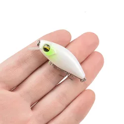 Señuelo Minnow hundimiento 5 cm 5 g – Crankbait jerk para carpa de agua