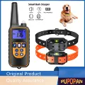 FOR 2 DOGS