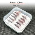 10Pcs