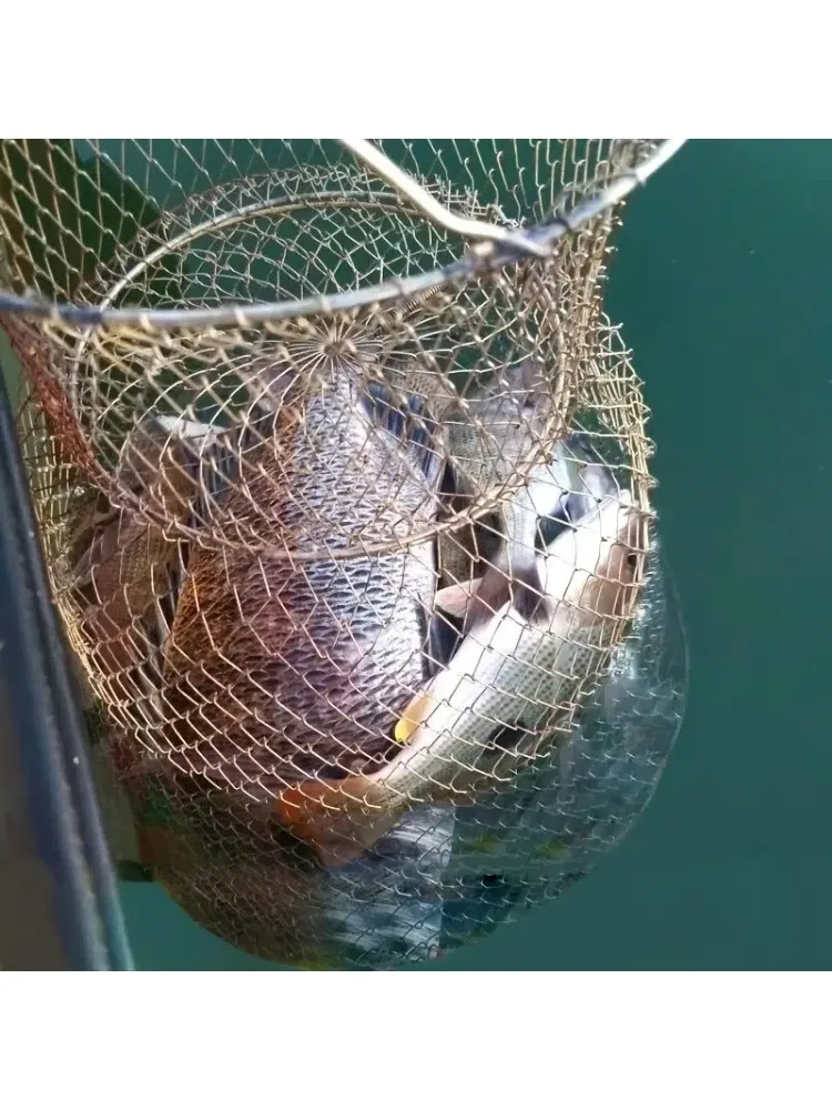 Red plegable Goture – Alambre de metal para cangrejos y calamares - imagen 3