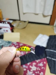 Imagen de reseña 3