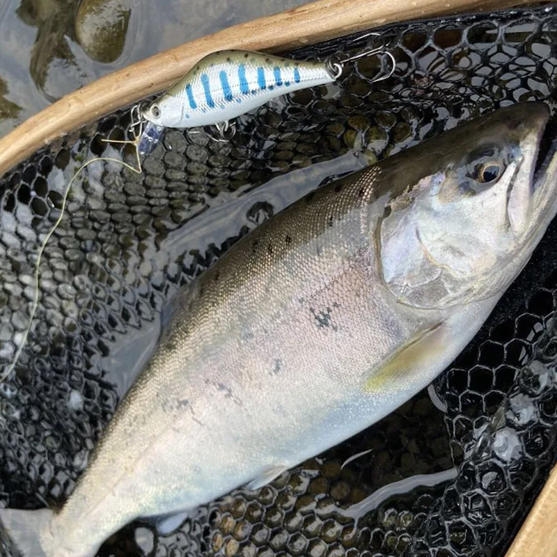 Mini señuelos de pesca de pececillos que se hunden, 55mm, 2022g, cebo Artificial, Wobbler, trucha, lubina, pesca de carpa, novedad de 4,7 - imagen 5