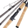 Casting Rod