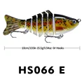 HS066 E