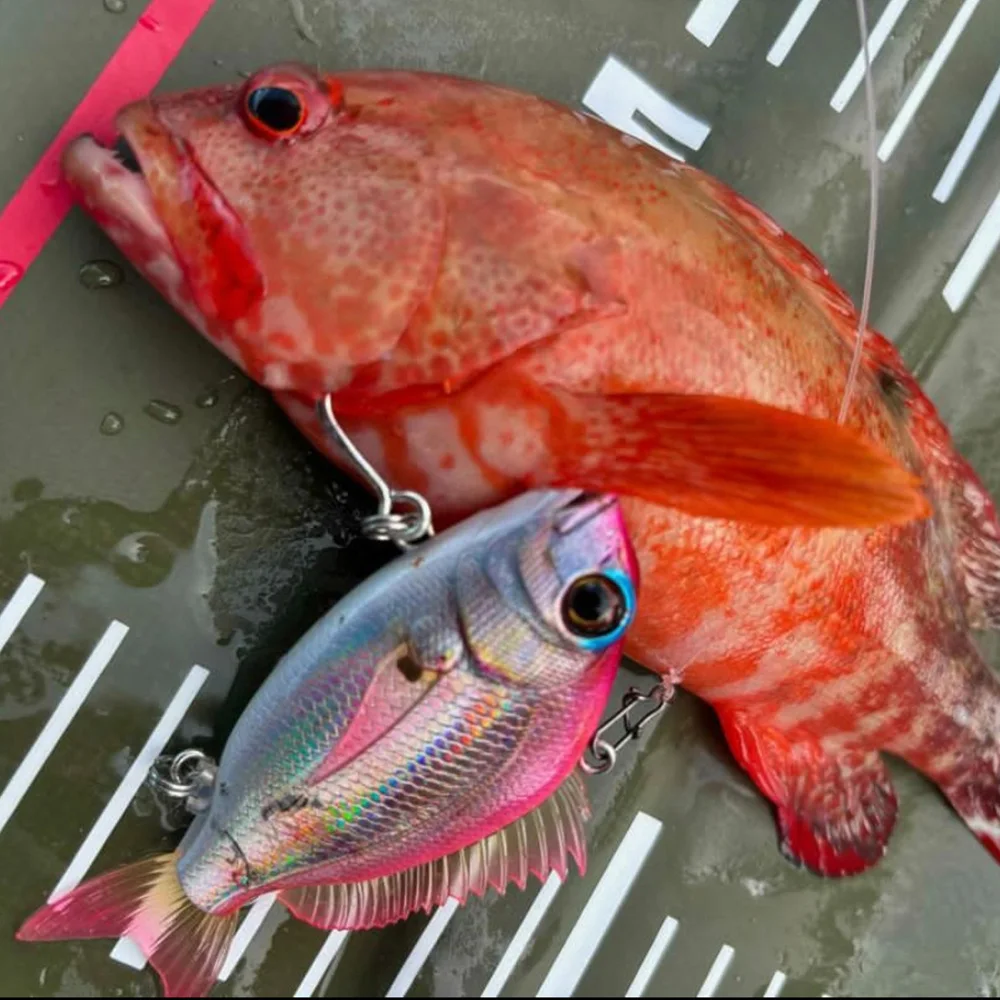 VIB Swimbait Pike Señuelos de Pesca 11g 24g sonajero vibración hundimiento invierno lubina cebos de Pesca Wobbler Bass Pesca Brochet - imagen 2