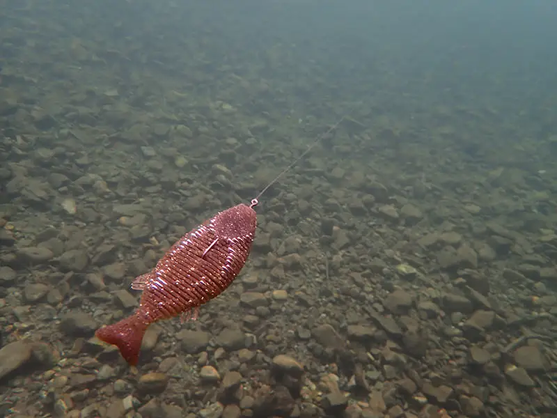 Japón IMAKATSU HUDDLE GILL señuelo de pescado plano cebo suave cebo de natación ranura profunda pescado multisección - imagen 5