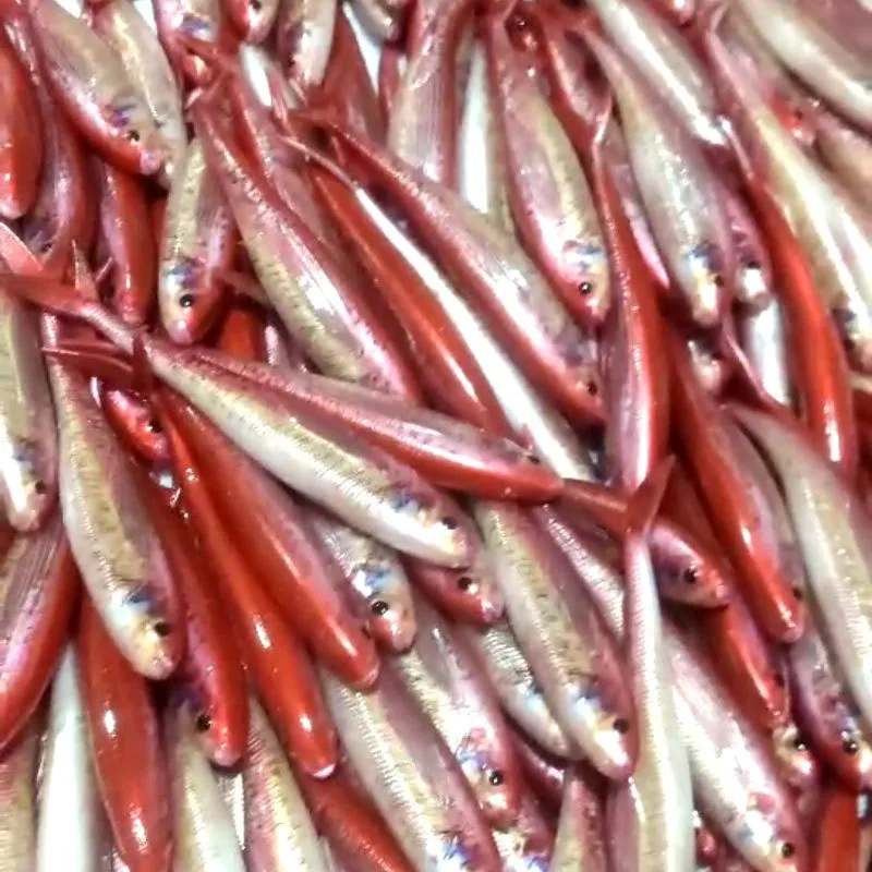 3 uds 12,5 cm 9g cebo suave Swimbait cola de paleta señuelo de plástico suave Shad señuelo Color arcoíris lentejuelas Swimbait gusano suave - imagen 4