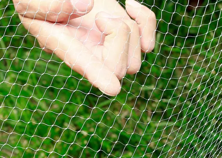 Lawaia-red de pesca trenzada resistente con postes de bambú para Río y Estanque de nailon, multifilamento, 3/4x4m - imagen 3