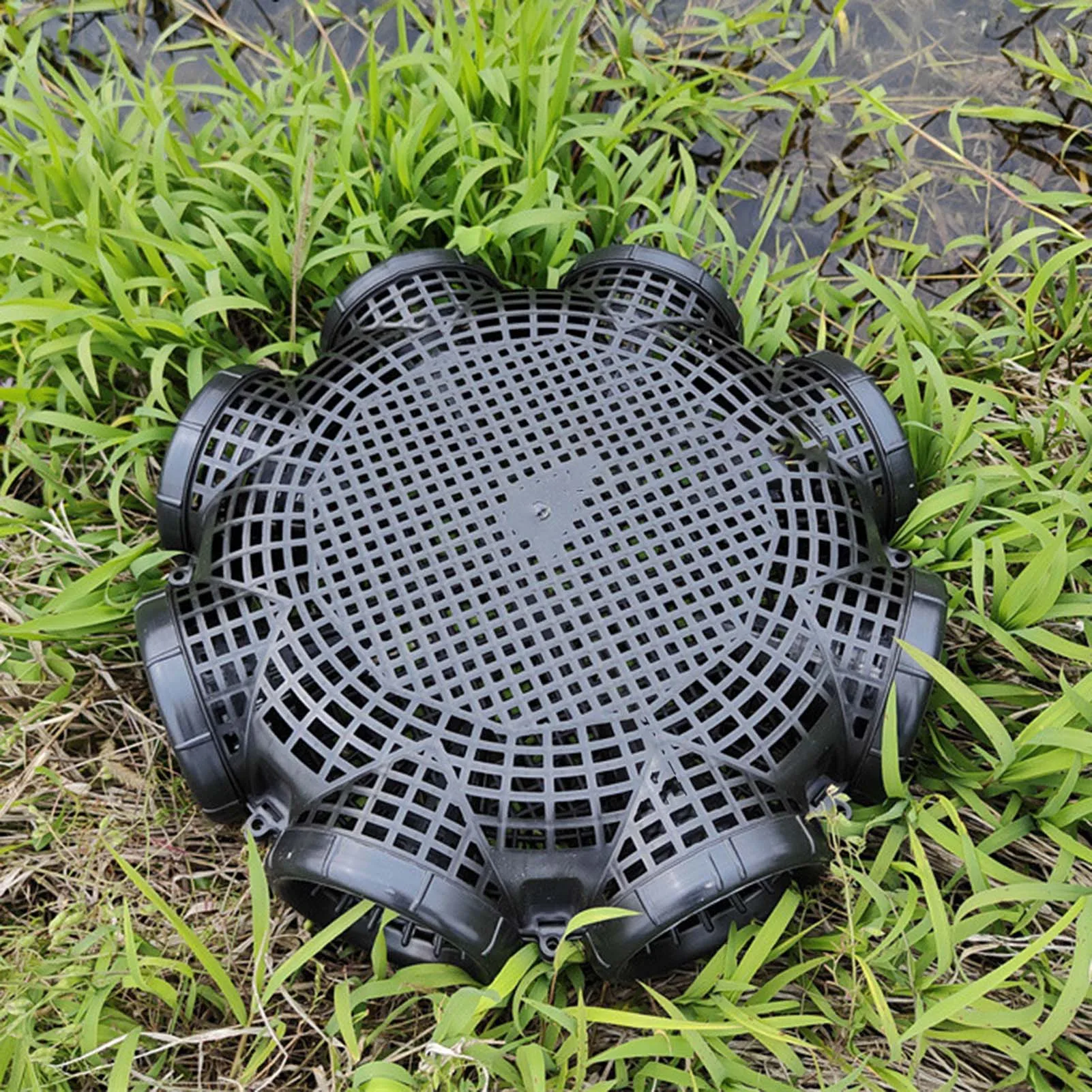 Jaulas para locha de anguila engrosadas con 3/6/8 orificios, montaje conveniente, jaula de cesta de captura de tamaño compacto para trampa de cangrejo y cangrejo - imagen 2