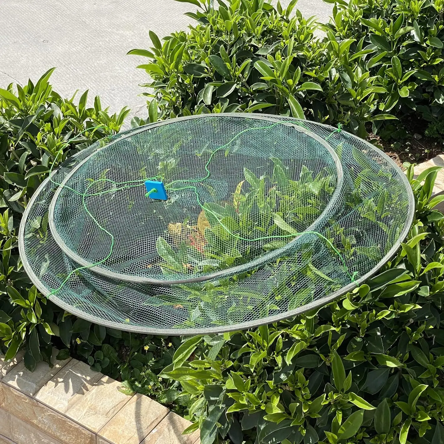 Red de pesca de aterrizaje, red de caída plegable grande, cebo de gambas, cangrejo, camarones, crucian, malla portátil para uso en estanque de depósito al aire libre, 80/100cm - imagen 4