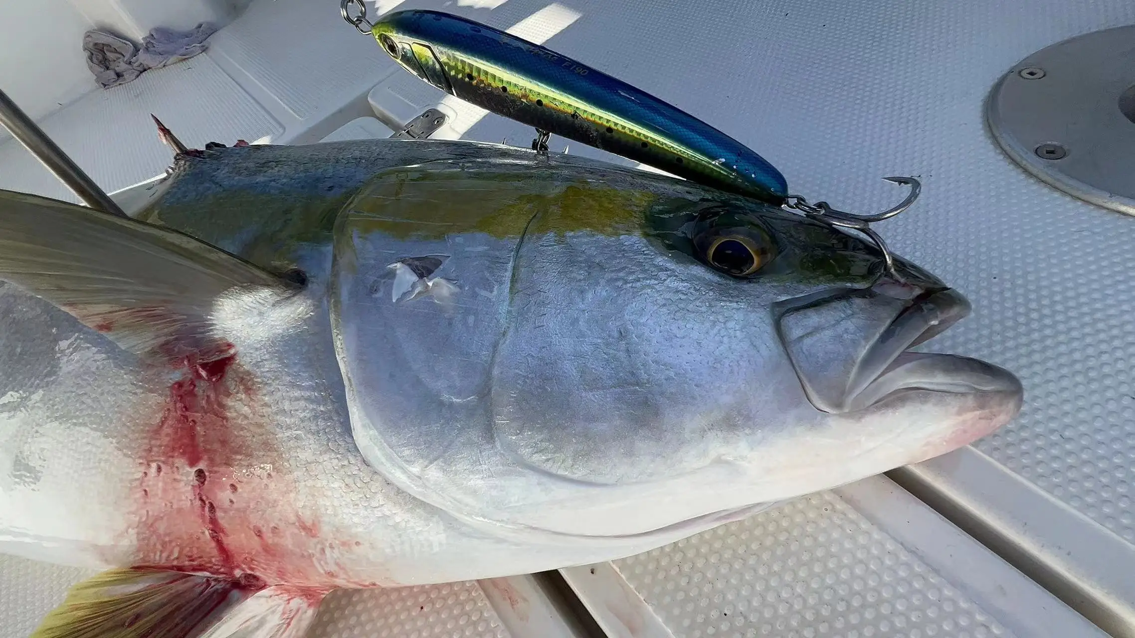 YAMASHITA-rollo de tela de cebo de calamar, Juego de pesca colgante de calamar Bazooka, contrapeso de camarón de madera, cebo falso luminoso - imagen 2