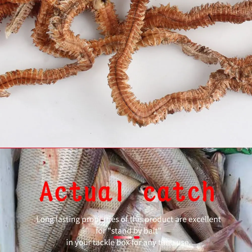 Peche Worms 2021 Cebos de silicona gusano seco para pesca - imagen 3