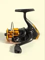 Black Gold