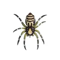 Spider-6G-08