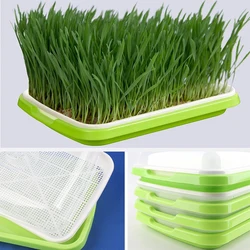 Macetas de vivero de semillas, cuenco para germinar brotes hidropónicos, plato para cultivar verduras, sin tierra, 2 unidades por lote