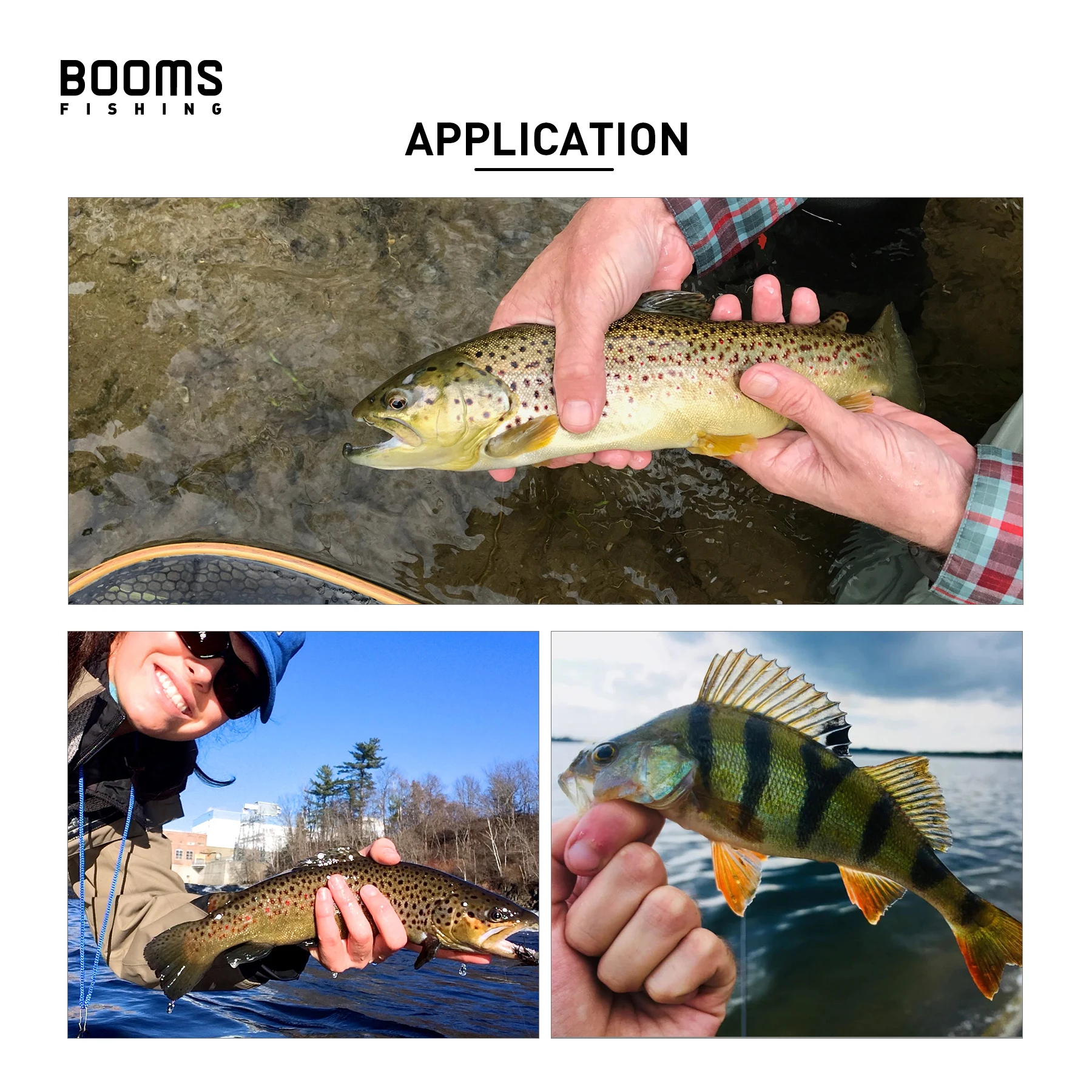 Booms Fishing CB2 5 uds Mini pequeños señuelos de pesca gordos Crankbait cebo de pez falso Artificial 29mm Wobblers duros calientes aparejos de señuelo - imagen 5