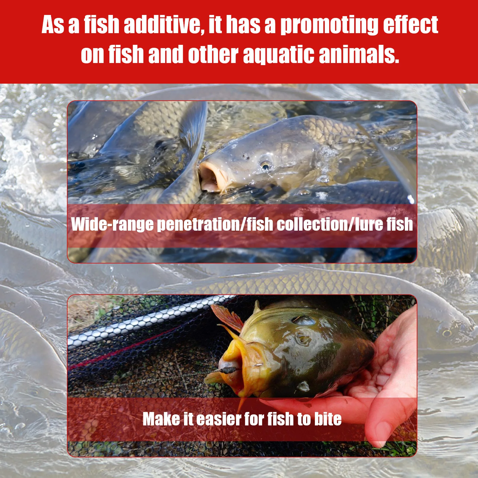Cebo de pesca concentrado de 60ml, cebo integral de anidación rápida, gusano rojo, líquido concentrado, suministros de pesca - imagen 3