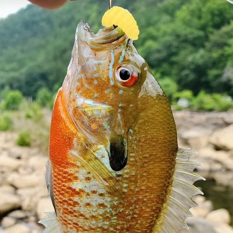 200 Uds 2cm gusano suave señuelo de pesca gusanos con olor de silicona guanes brillantes de invierno gusanos de pesca de lubina señuelos cebo Artificial pescado - imagen 5