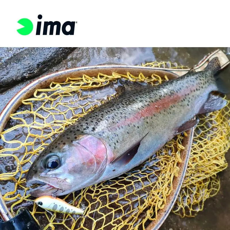 IMA Japón sistema de superficie RAIKIR I43 cebo flotante VIB de largo alcance anzuelo de púas señuelo de pesca de mar cebo falso - imagen 4