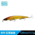 120mm  13.1g  809