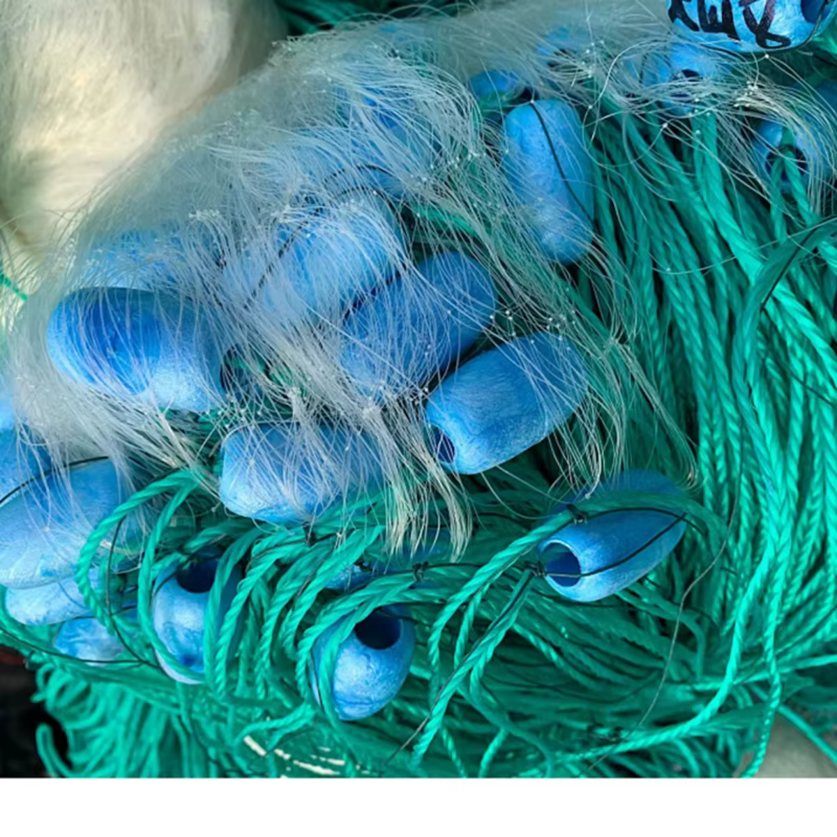Boya para red de pesca PE - Flotador ovalado con alta densidad - imagen 5