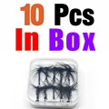 10Pcs In Box