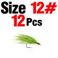 Size 12