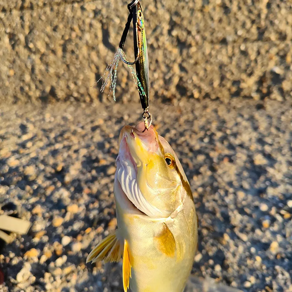 Señuelo de Pesca con plantilla de Metal, 10g, 20g, anzuelo fundido, Swimbait, Wobbler láser 3D, cuchara para Lucio, carpa, Spinner, Kit de aparejos de mar, cebo Artificial de Pesca - imagen 4