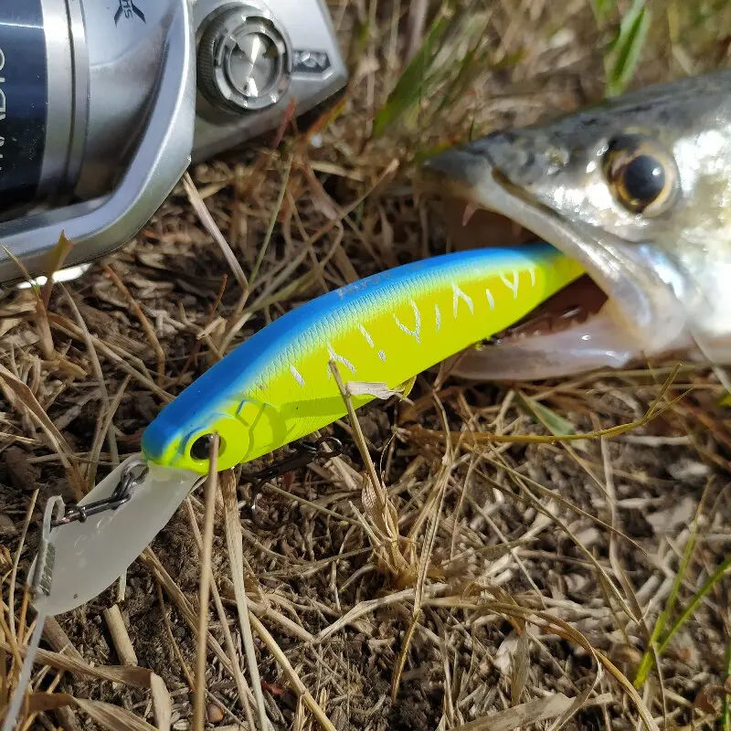 Jerkbait Tsurinoya Aurora 115SP Suspendido – Lance largo - imagen 4
