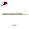 PA12