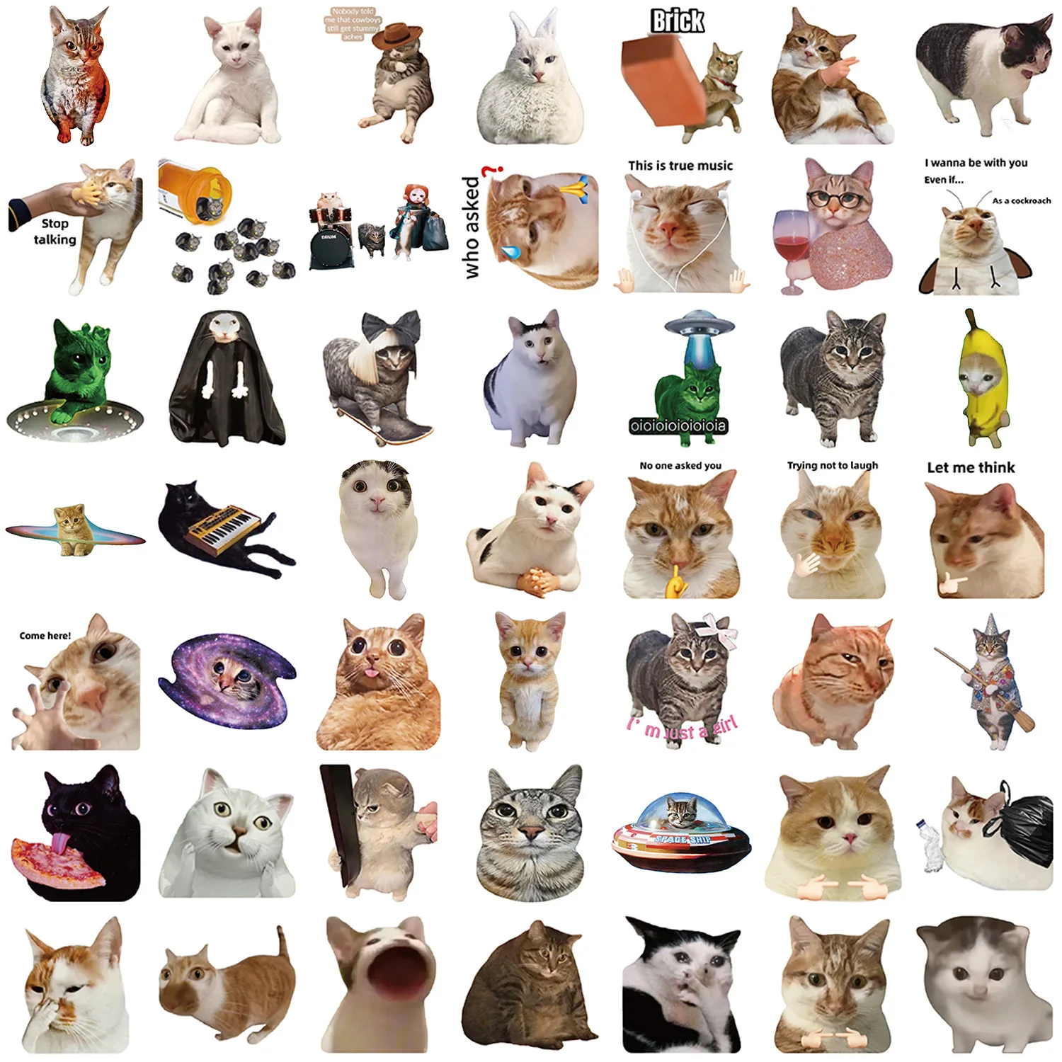 Gato Meme divertido – Pegatinas impermeables para móvil y guitarra - imagen 5
