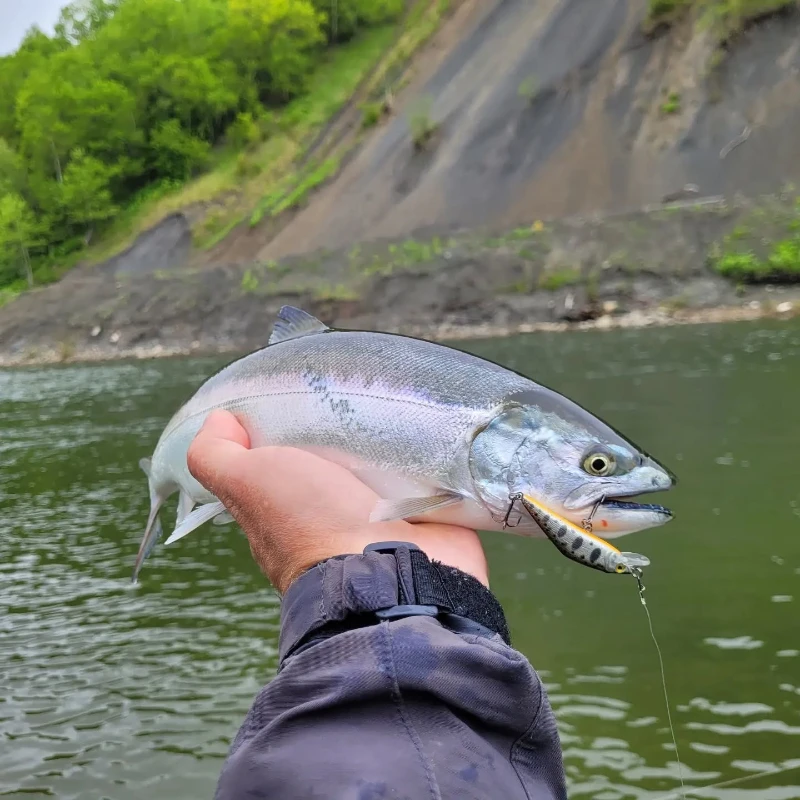7/9,5/14,5g Smith D-contact pececillo hundido 63/72/85mm Señuelos de pesca de corriente Artificial para carpa grande trucha arcoíris lubina de boca grande - imagen 5