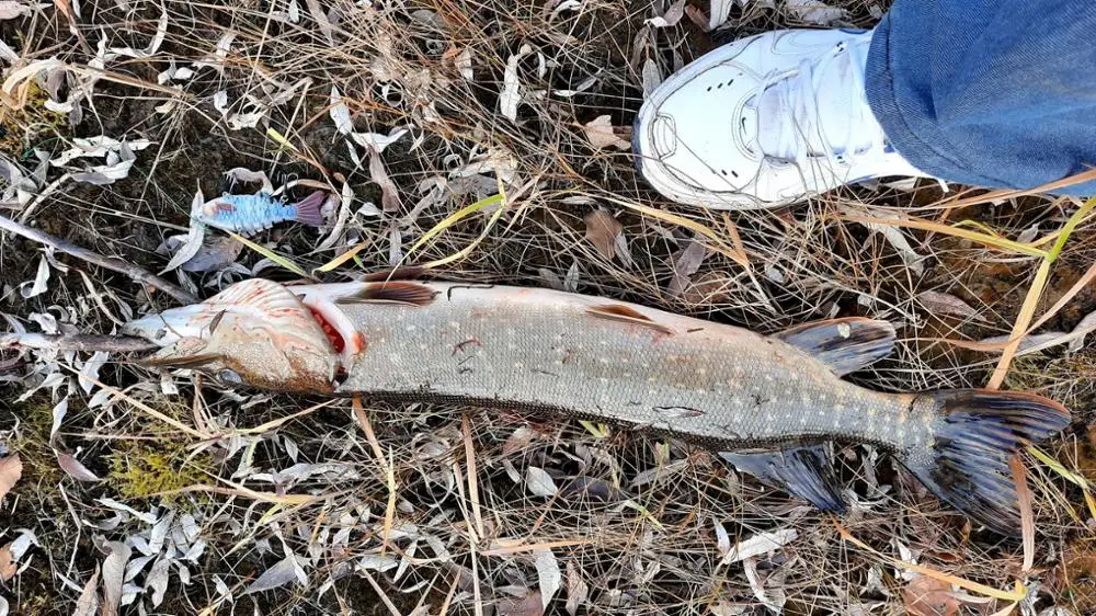 U26eda3b5267f477fba926528c0960345i