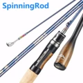 Spinning Rod