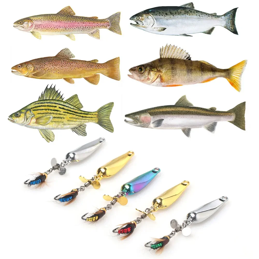 Bimoo 2/3 Uds señuelo de Metal cuchara Spinner hélice lentejuelas insecto cebo insecto gusano moscas señuelo pesca conjunto trucha lubina Señuelos de pesca - imagen 5