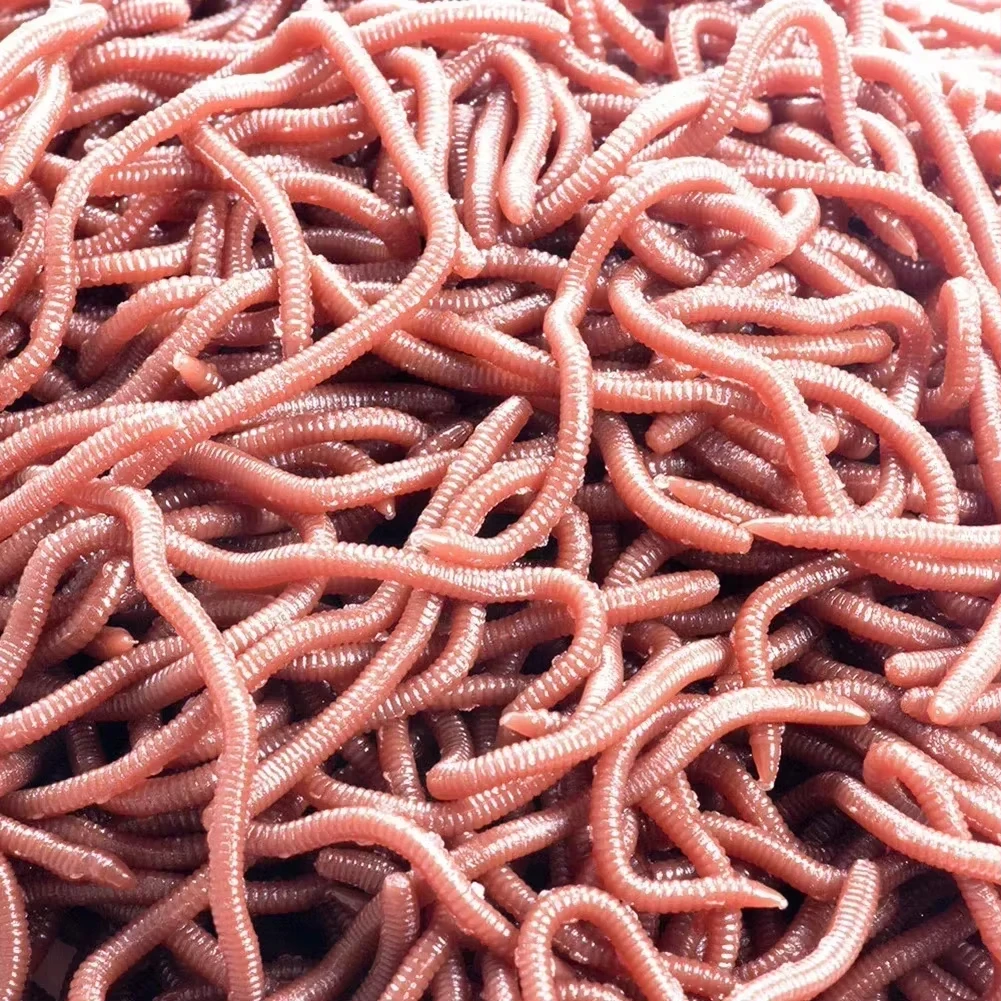 50 unids/bolsa depredador cebo suave pesca en el mar 4/8cm coctelera de lombrices de silicona cebo falso carpa trucha lubina pesca al aire libre - imagen 4