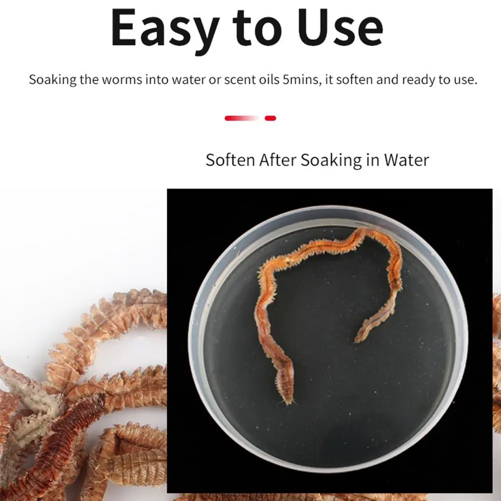 Peche Worms 2021 Cebos de silicona gusano seco para pesca - imagen 2