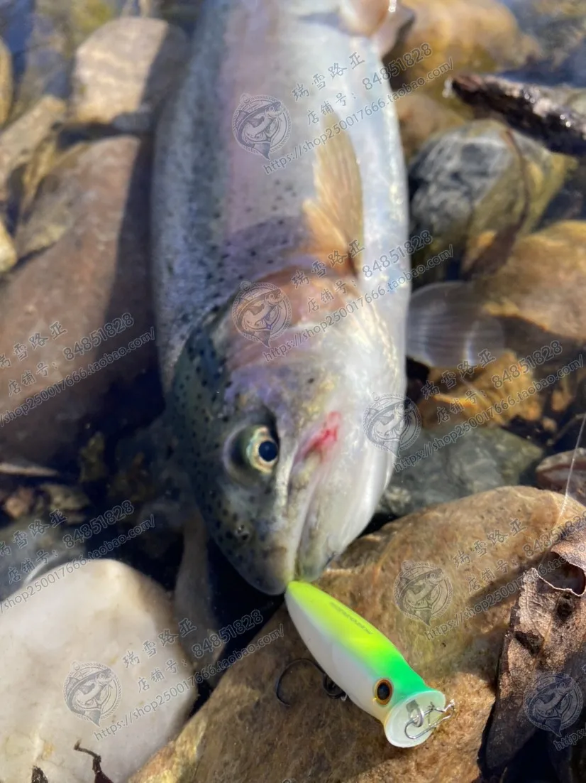 Un pez con un señuelo verde y blanco en la boca