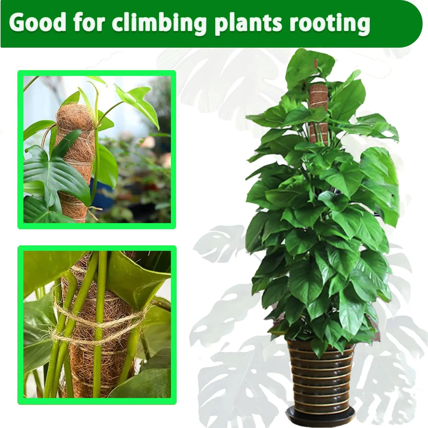 Postes de musgo, poste de musgo apilable para plantas Monstera para plantas trepadoras, tótem de fibra, soporte para plantas, estacas para plantas en macetas - imagen 4